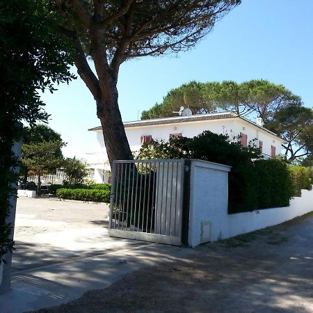 Appartamento In Villa Valentini, Fronte Mare, Giardino E Parcheggio Privato, Wifi, Dotato Di Tutti I Confort, Nel Golfo Di Gaeta Minturno Exterior photo
