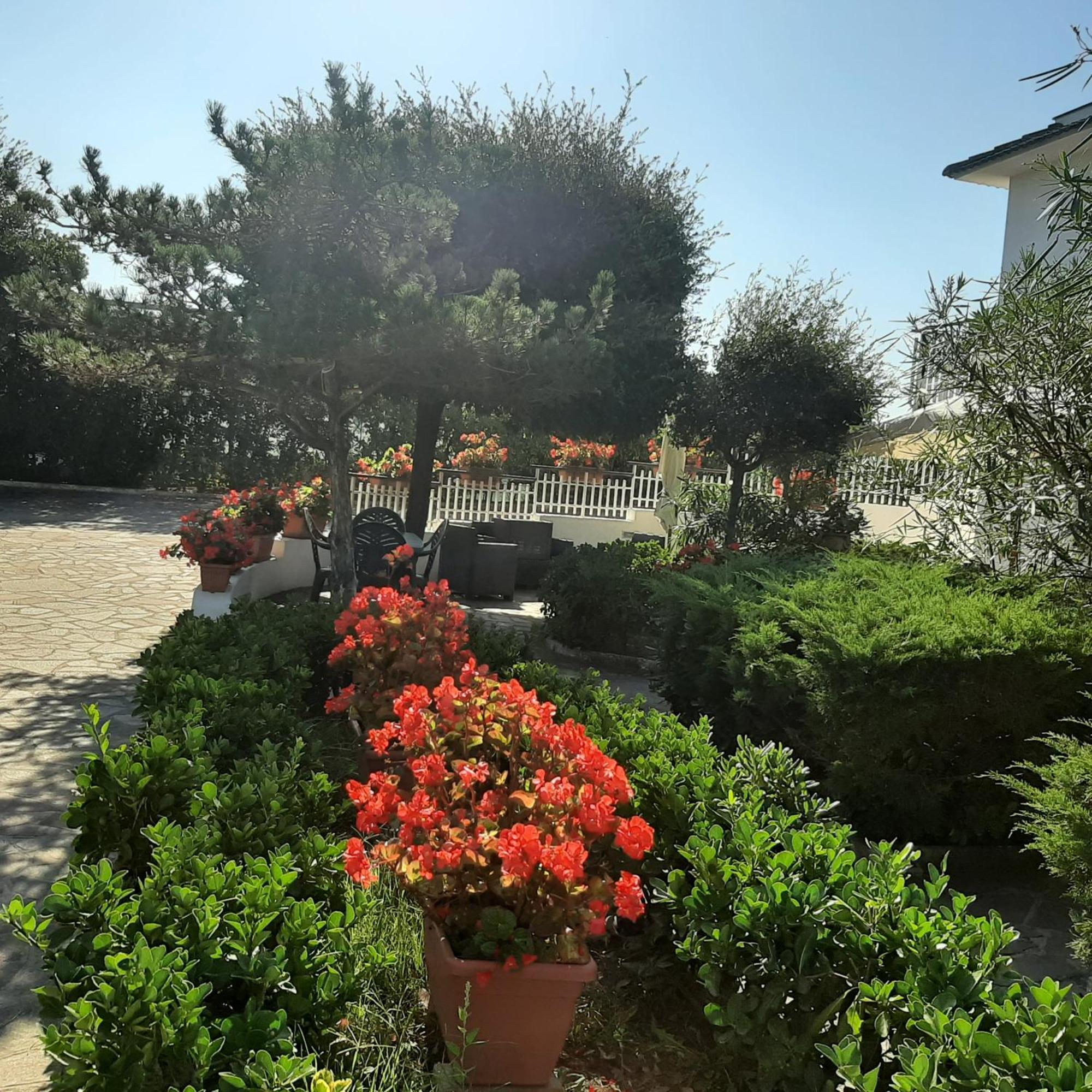 Appartamento In Villa Valentini, Fronte Mare, Giardino E Parcheggio Privato, Wifi, Dotato Di Tutti I Confort, Nel Golfo Di Gaeta Minturno Exterior photo