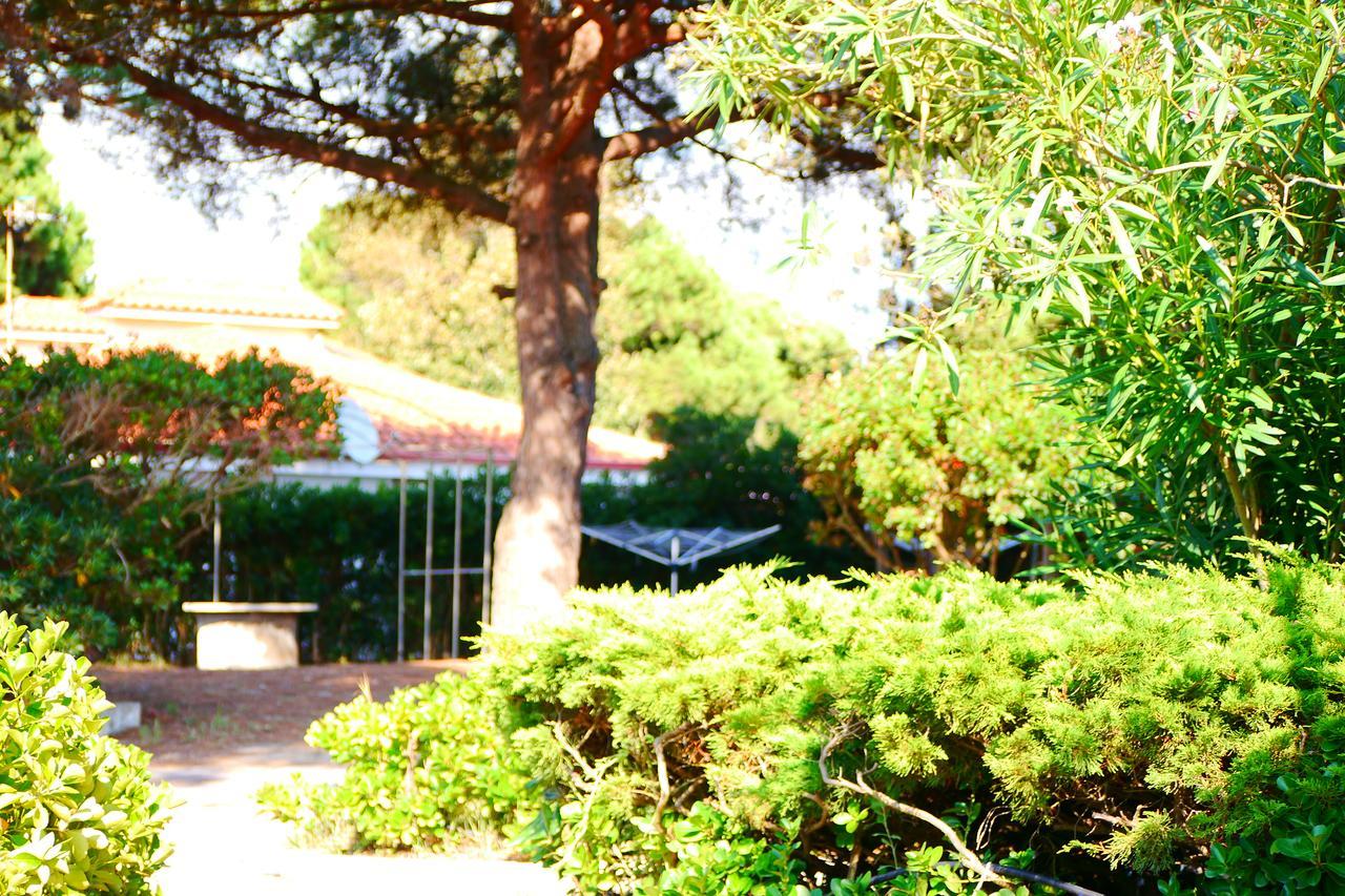 Appartamento In Villa Valentini, Fronte Mare, Giardino E Parcheggio Privato, Wifi, Dotato Di Tutti I Confort, Nel Golfo Di Gaeta Minturno Exterior photo